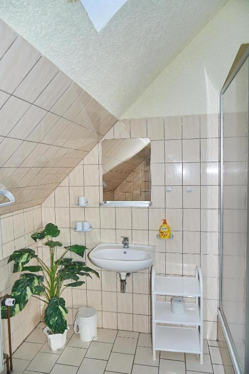 Apartament Schwalbenhof Woellnau Doberschutz Zewnętrze zdjęcie