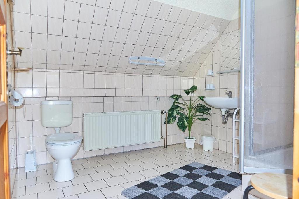 Apartament Schwalbenhof Woellnau Doberschutz Zewnętrze zdjęcie